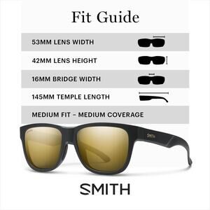 NWT SMITH Lowdown Slim 2 Sunglasses Matte Black Gold Polarized